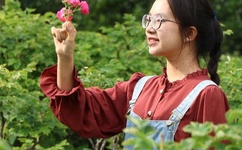 被公司领导C了很多次怎么办